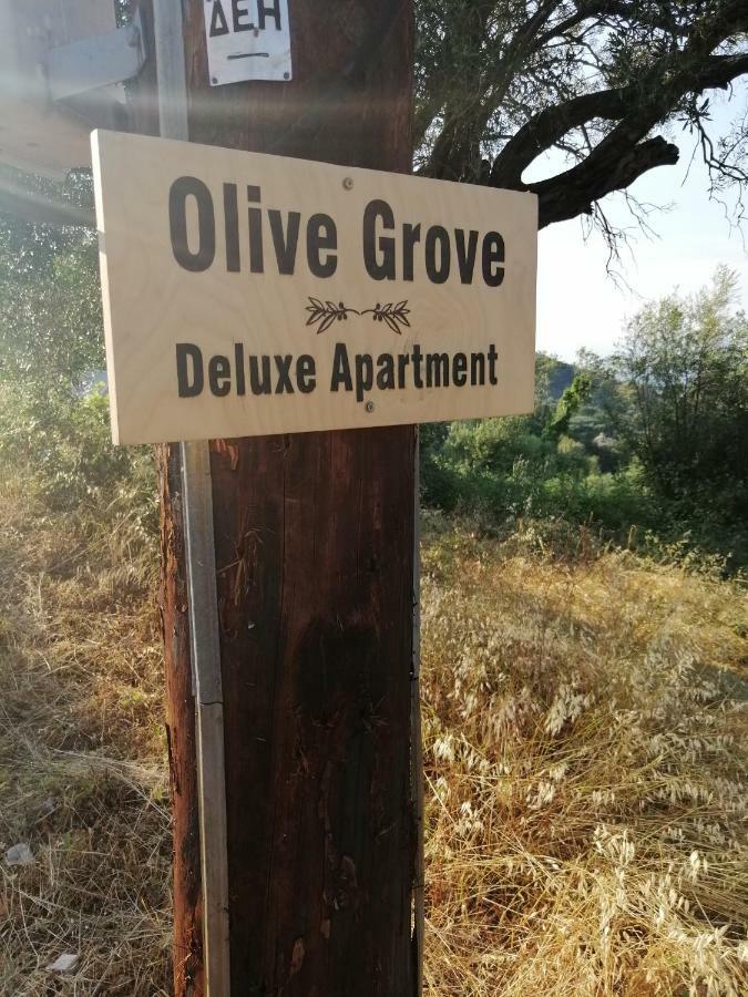 Olive Grove Deluxe Holiday home *