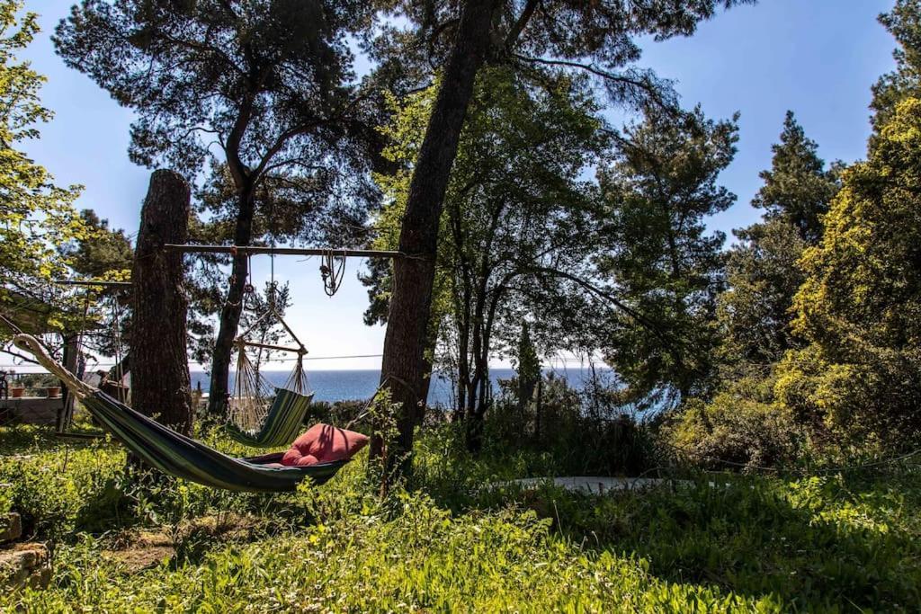 Villa Aliki *