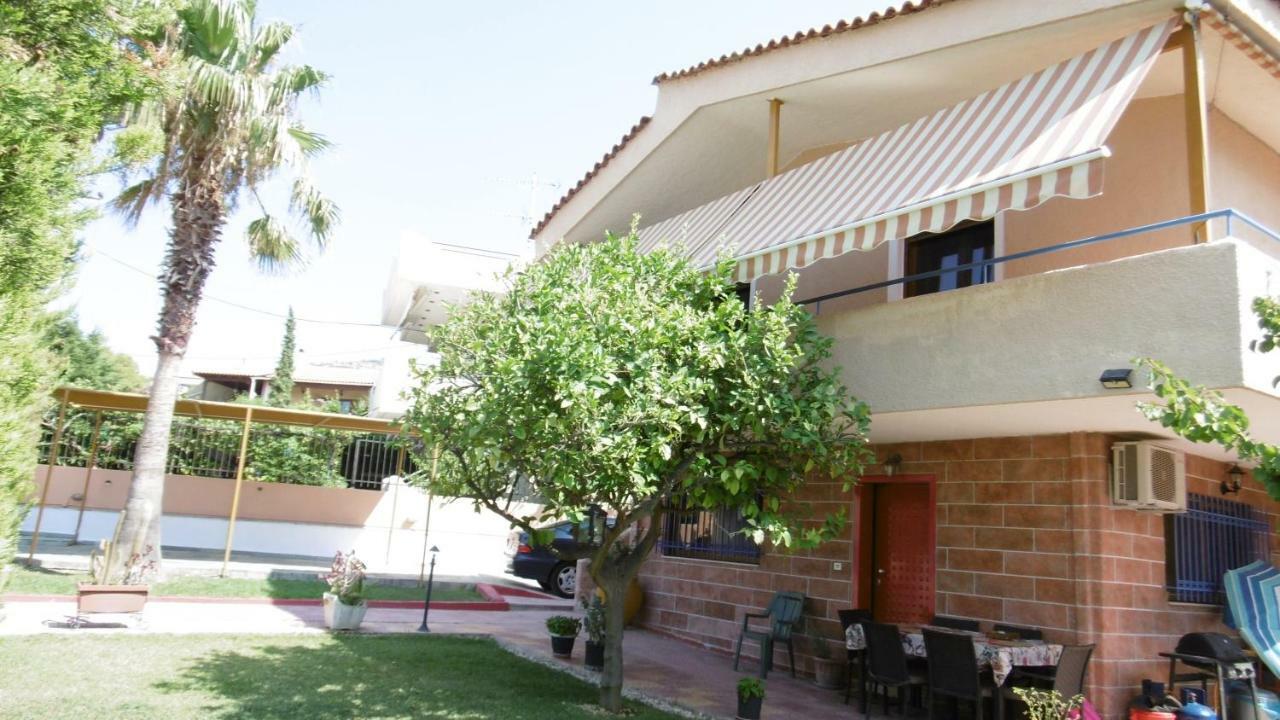 Lemon Tree *