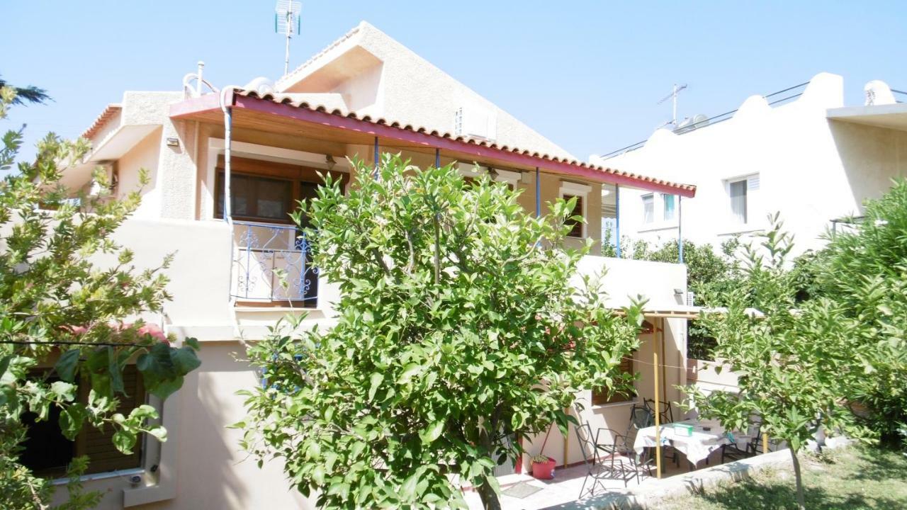Lemon Tree *