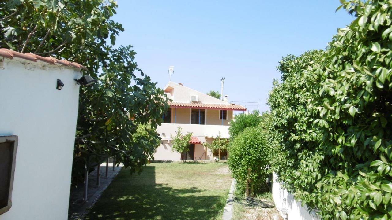 Lemon Tree * Anavyssos