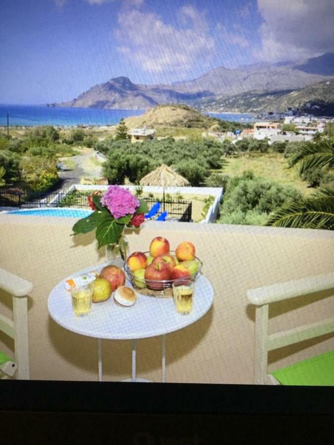 Erato1 * Plakias