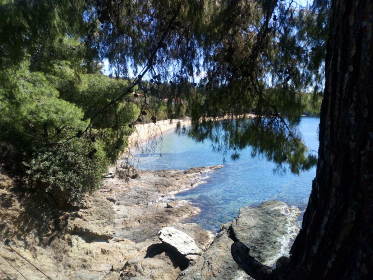 Seaside Hatzi Holiday home *