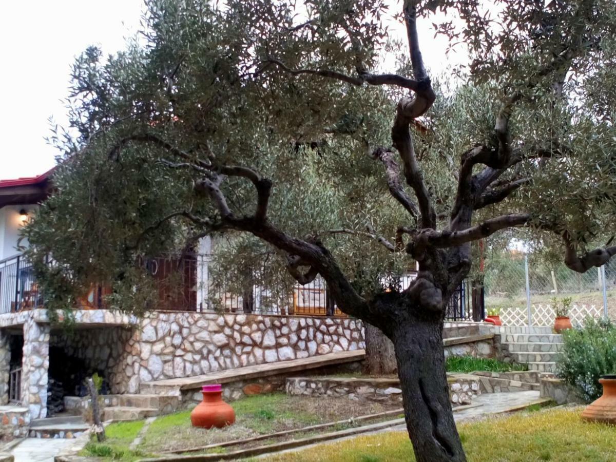 Holiday home Seaside Hatzi Lagomandra