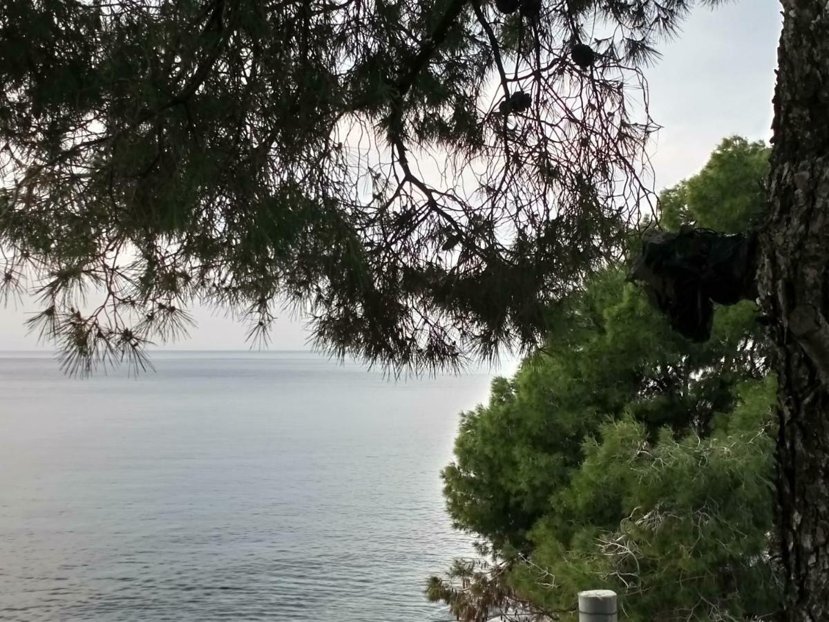 Seaside Hatzi Holiday home
