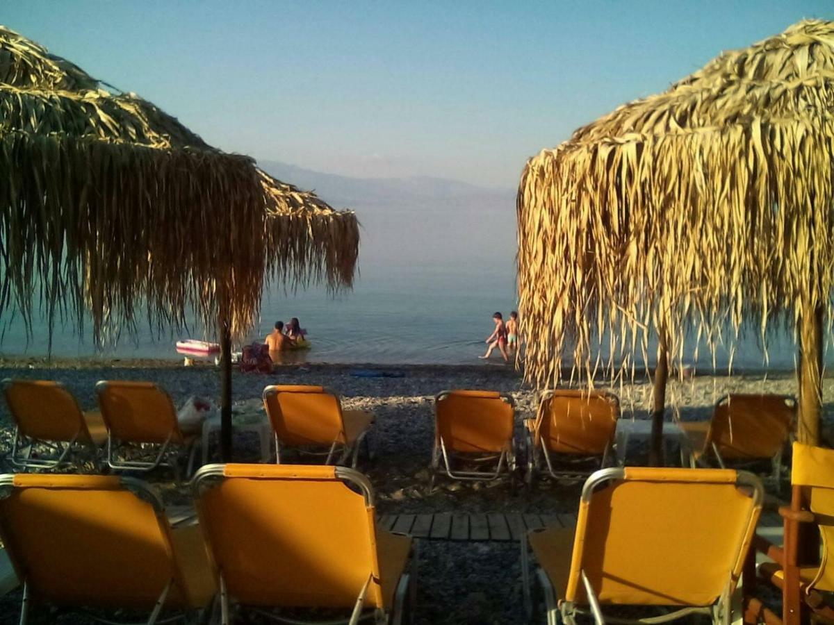 Sgs Luxury Apartment Xylokastro