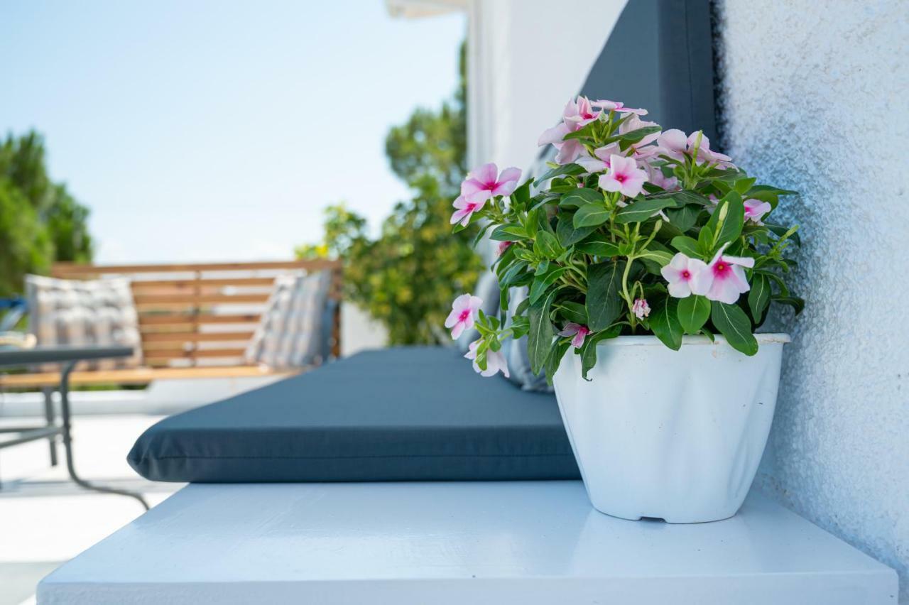 Apartment Sgs Luxury Xylokastro