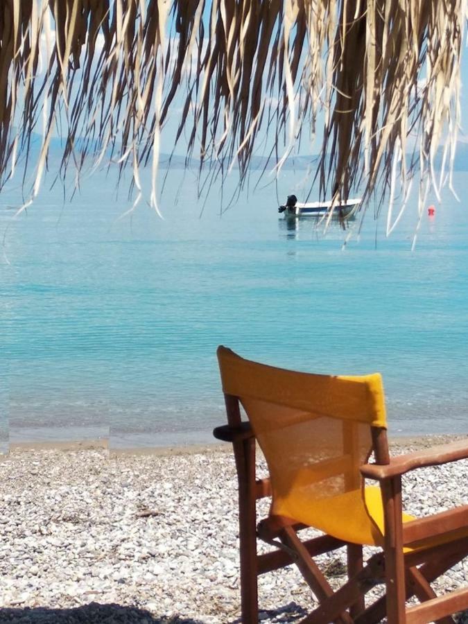 Sgs Luxury Apartment Xylokastro