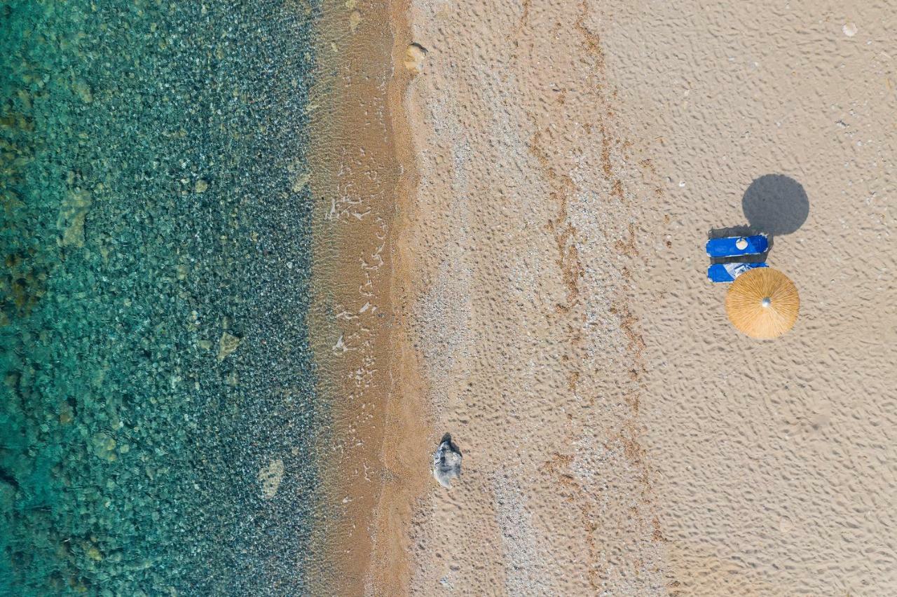 Sea La Vie *
