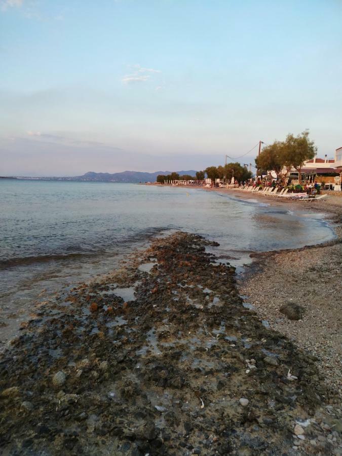 Maistrali Skala (Agistri)