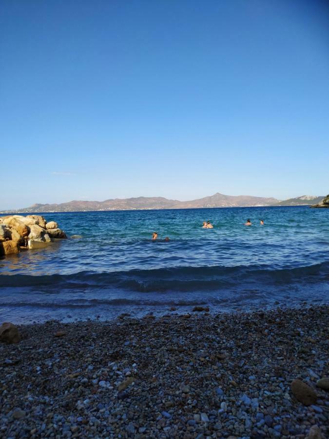 Maistrali