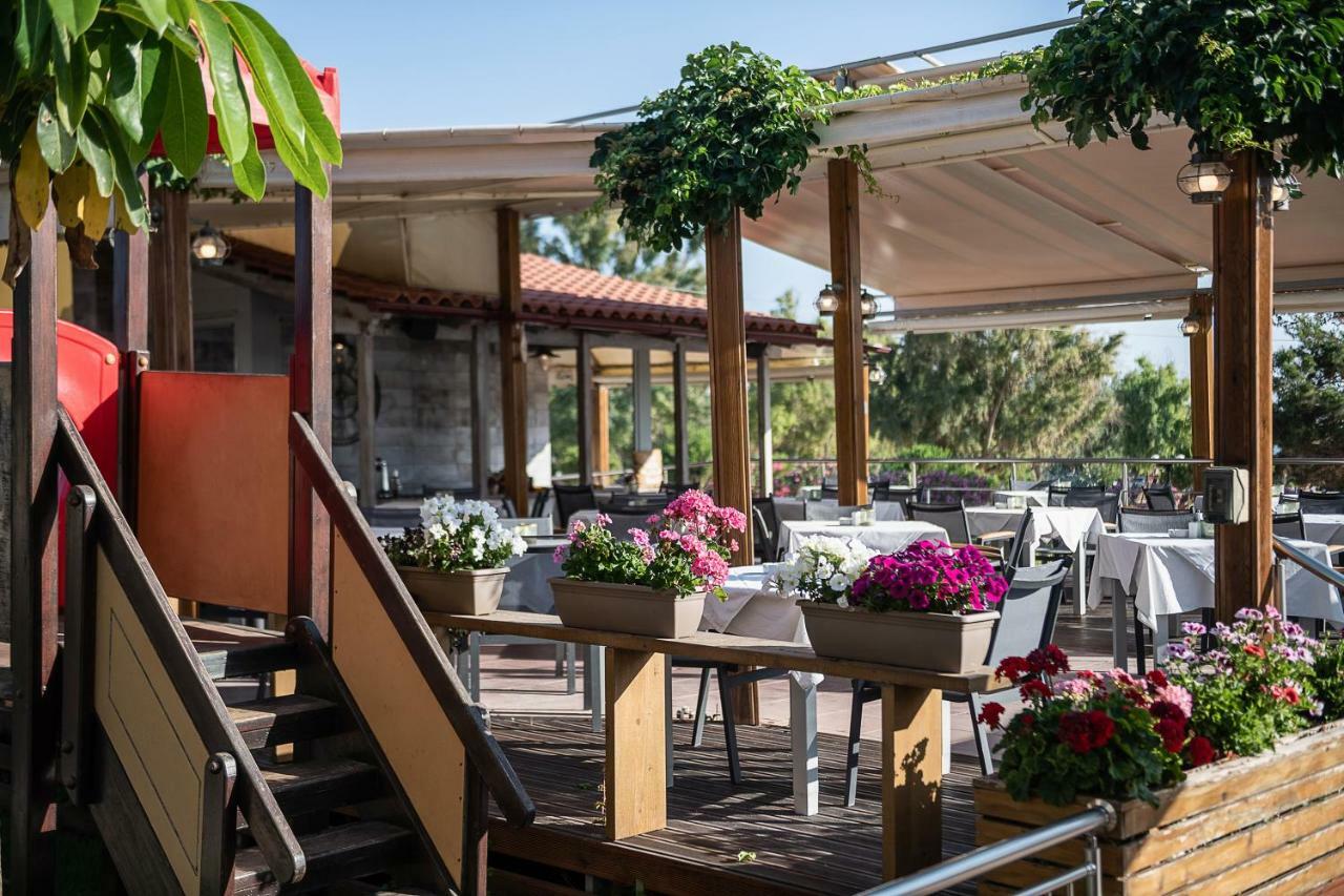 Akti Aparthotel 3*