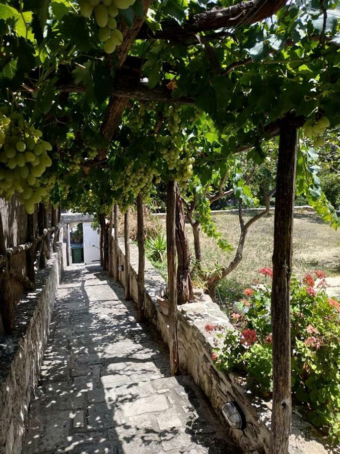 Pervola Petit Aparthotel 3*