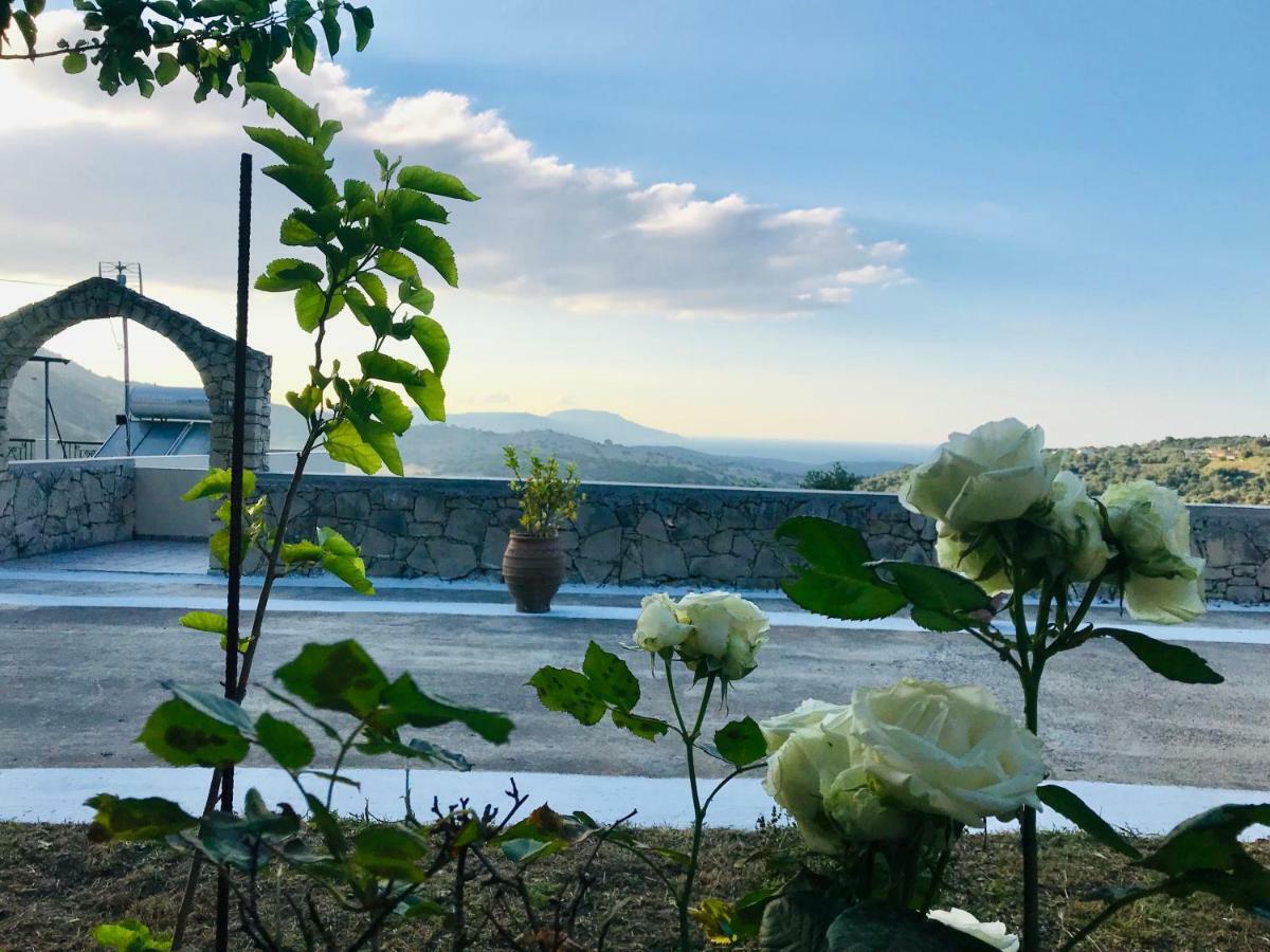 Thomas View * Argiroupolis