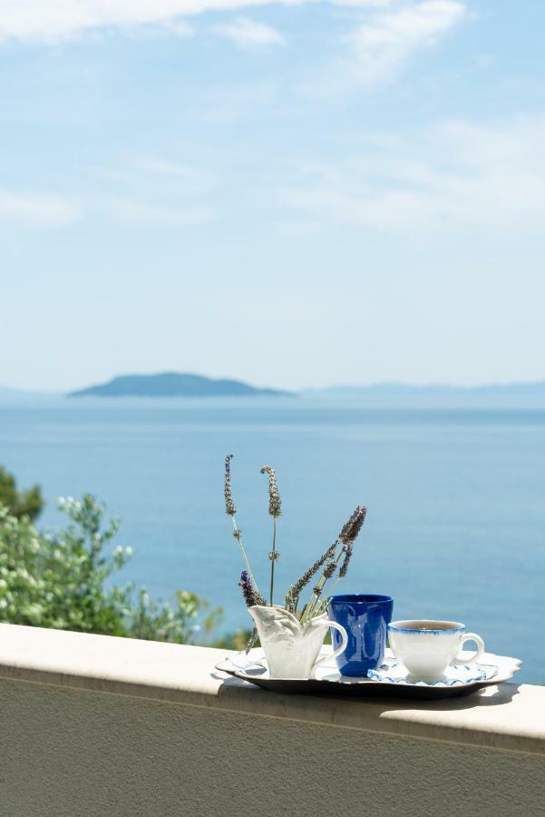 Villa Akti Beachfront Chalkidiki