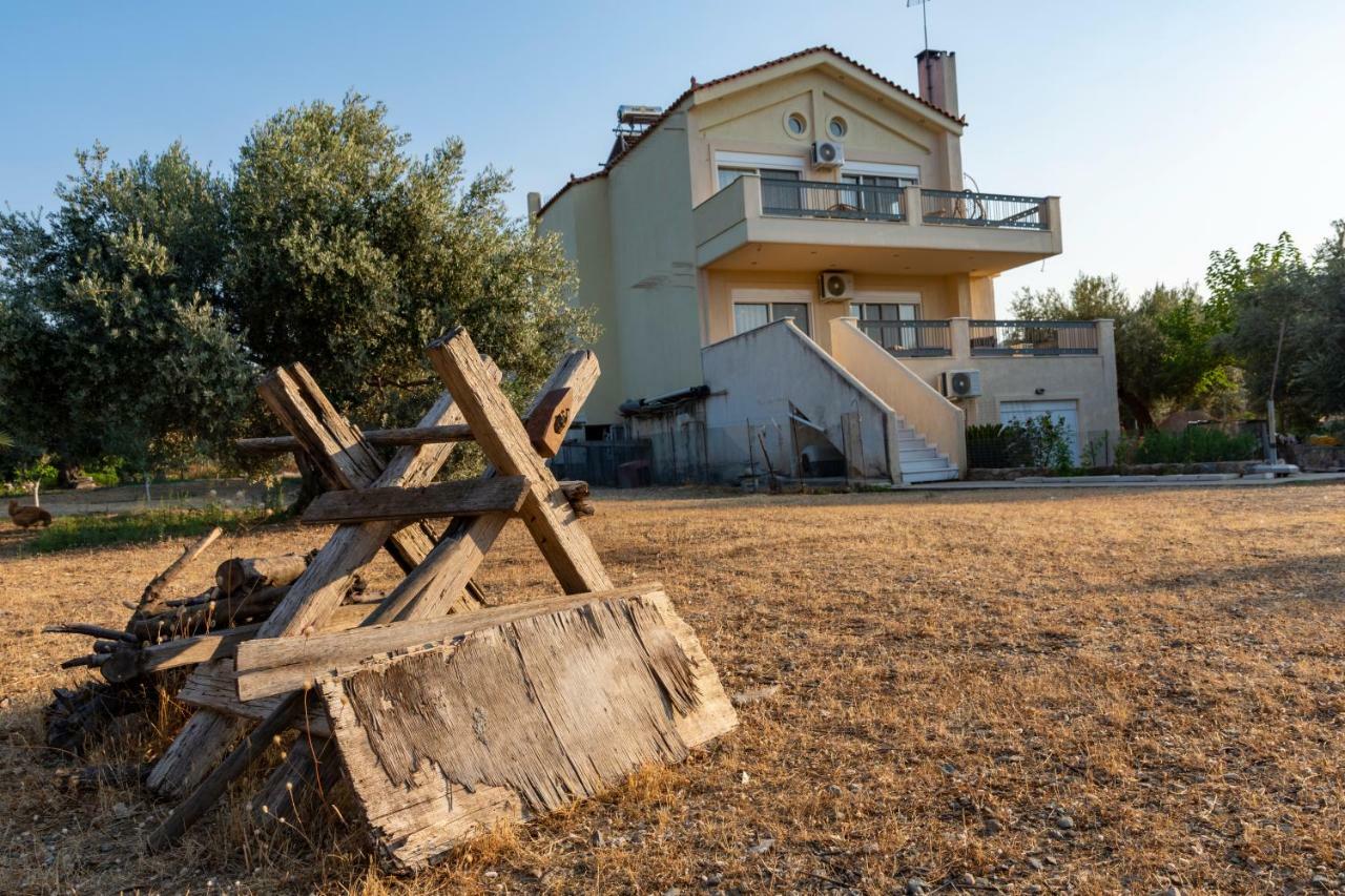 Villa Elli *