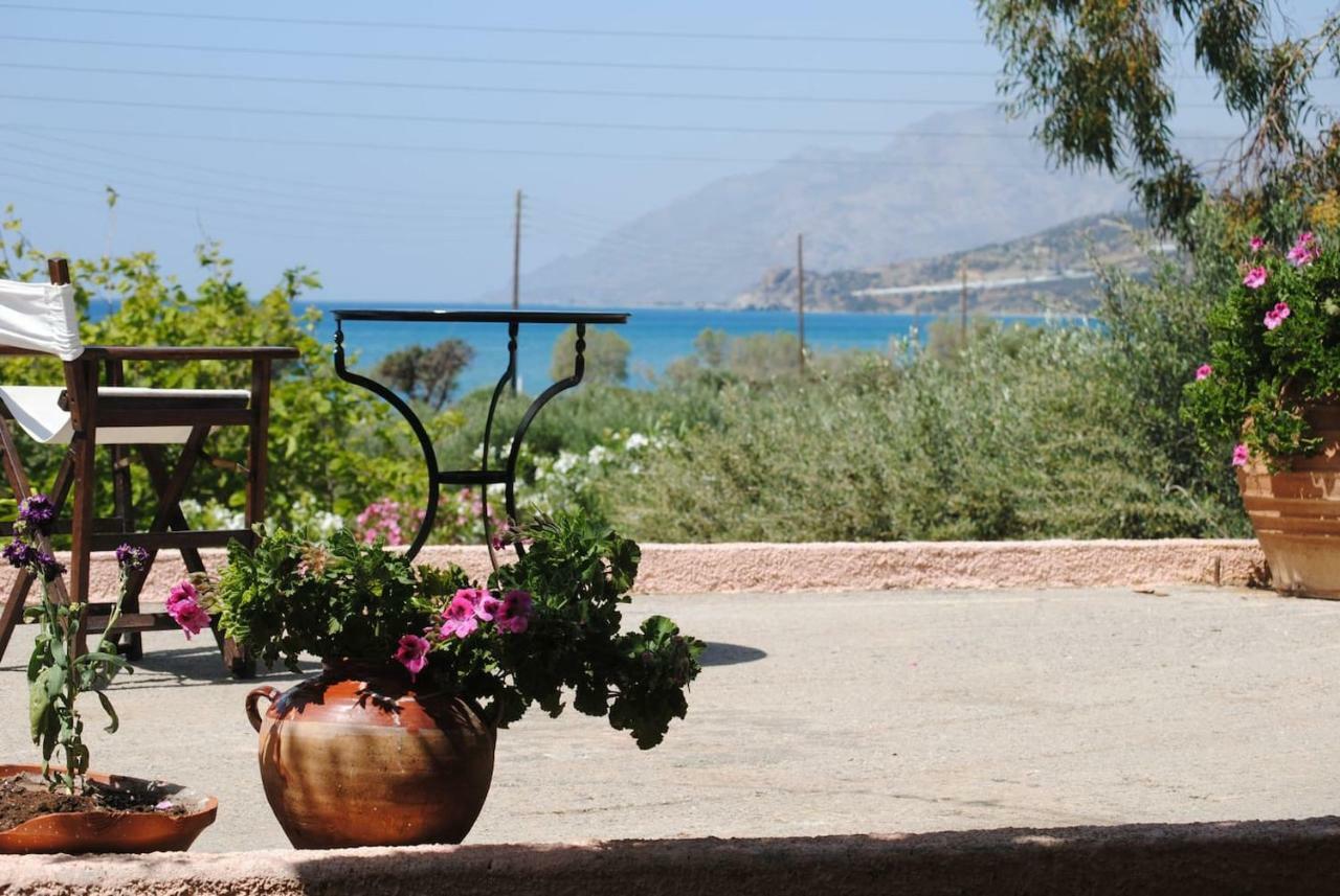 Punentes House Holiday home *