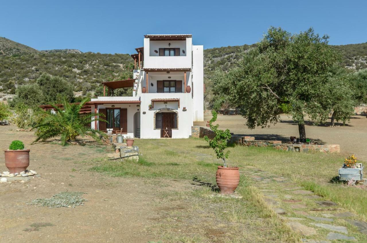 Apartment Theonis