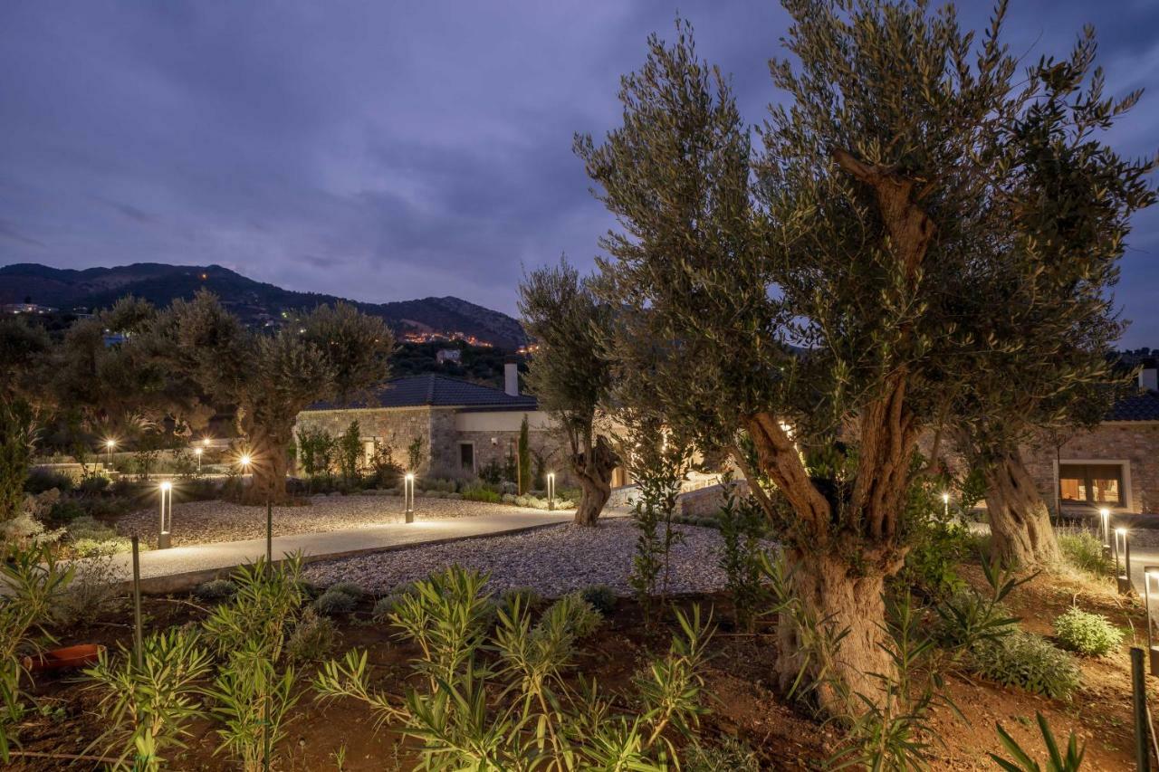 Elies Residences Luxury Villa