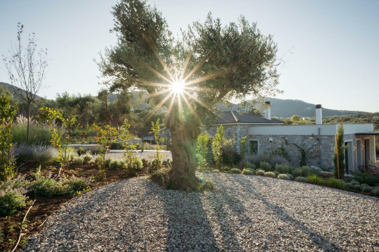 Elies Residences Luxury * Mytilene
