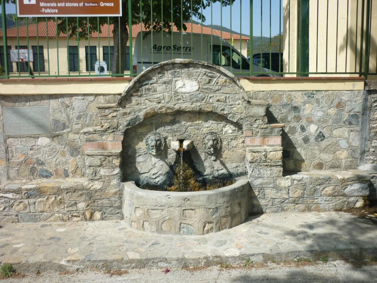Zografia Guest house