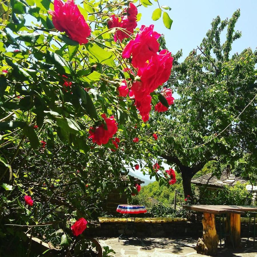 Morfeas Guest house Papigko