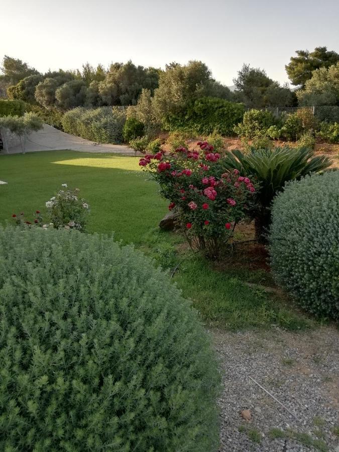 Guest house Dimitra *