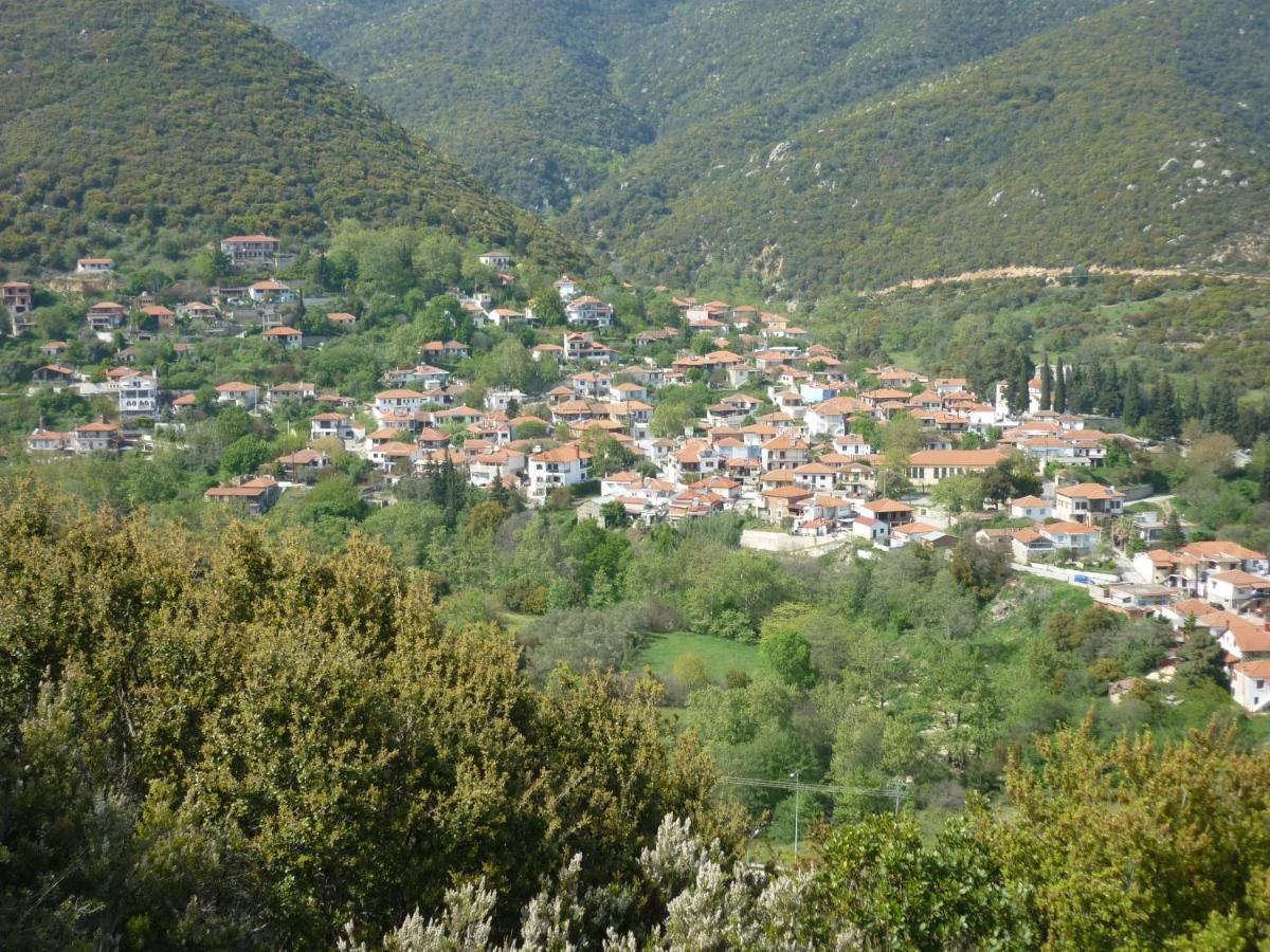 Zografia Vrasna