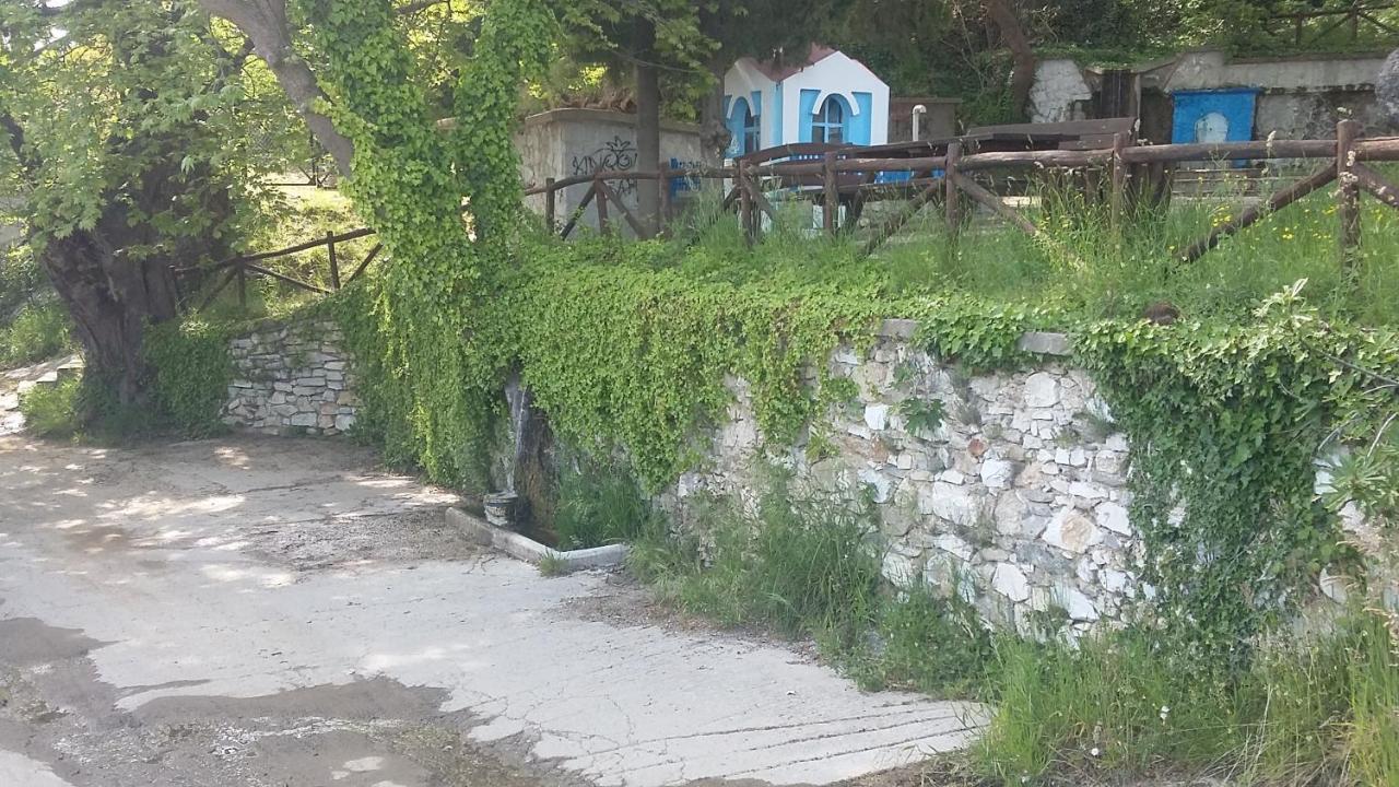 Guest house Zografia Vrasna