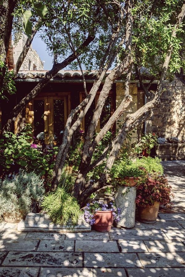 Nikolaou Art Guest house