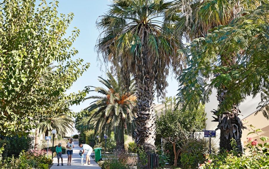 Grecotel Casa Paradiso
