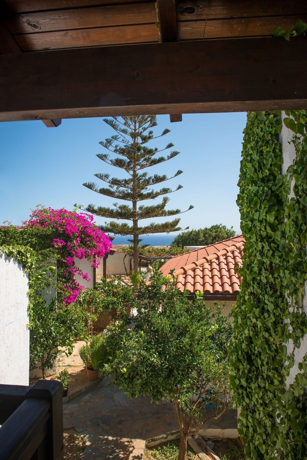 Ambelos Aparthotel Agia Pelagia (Crete)