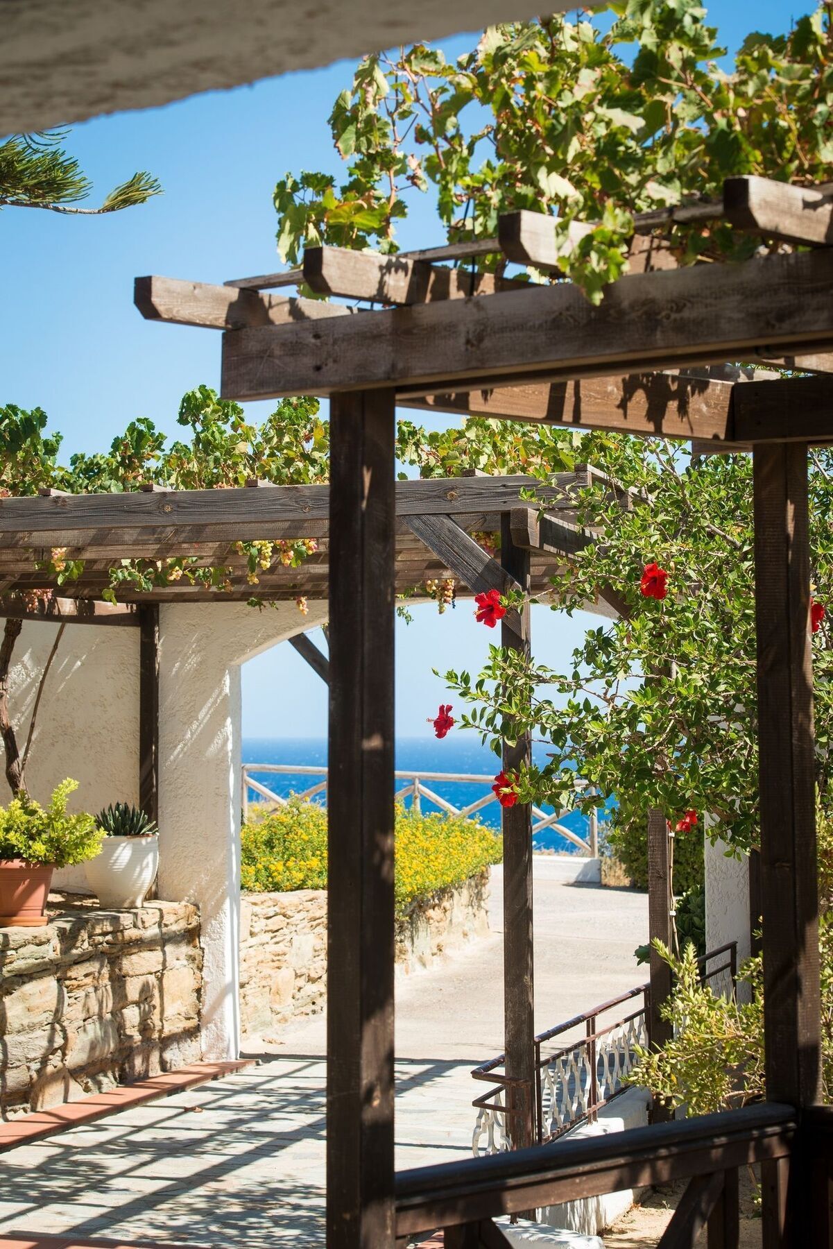 Ambelos 3* Agia Pelagia (Crete)