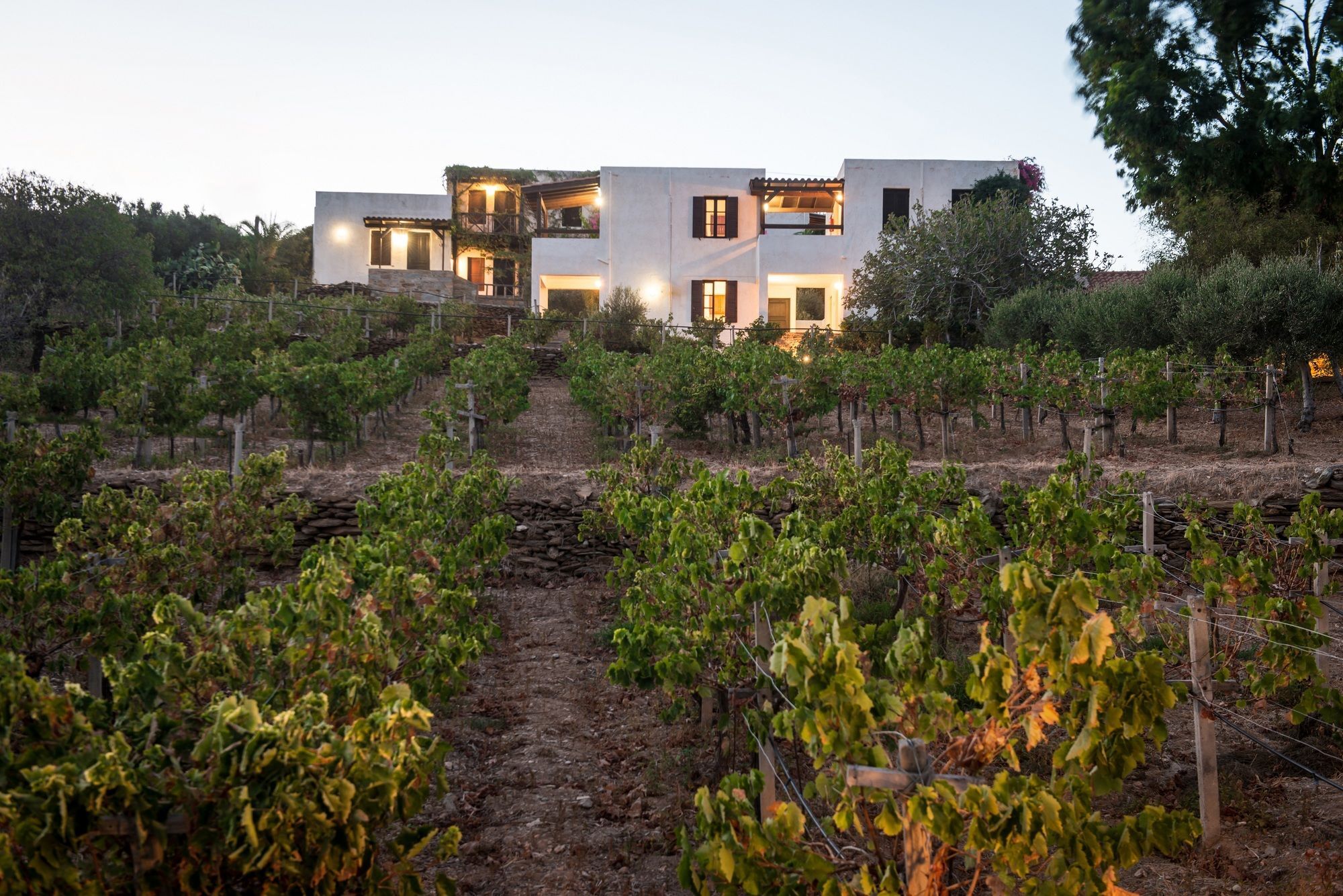 Ambelos 3* Agia Pelagia (Crete)