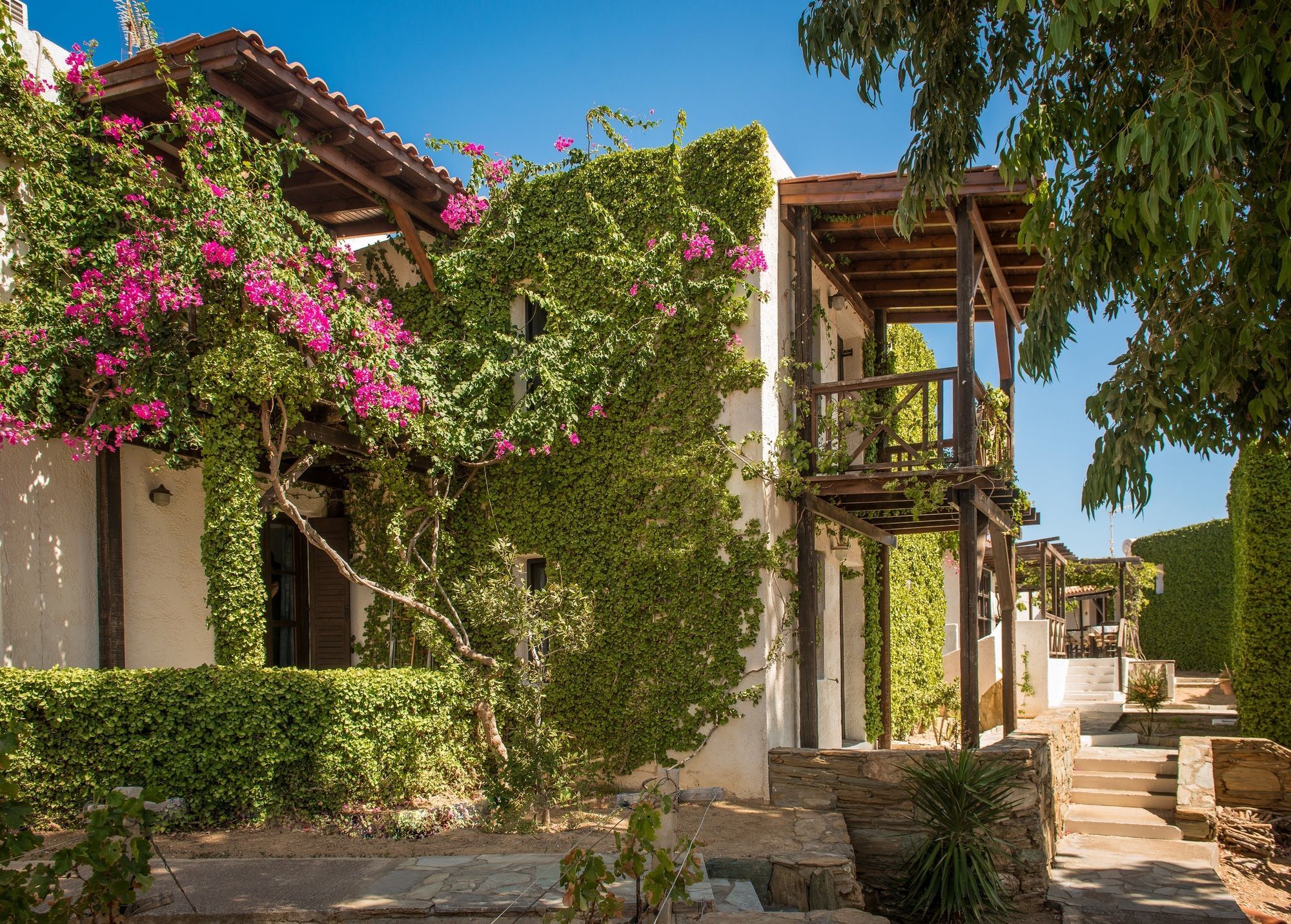 Ambelos 3* Agia Pelagia (Crete)