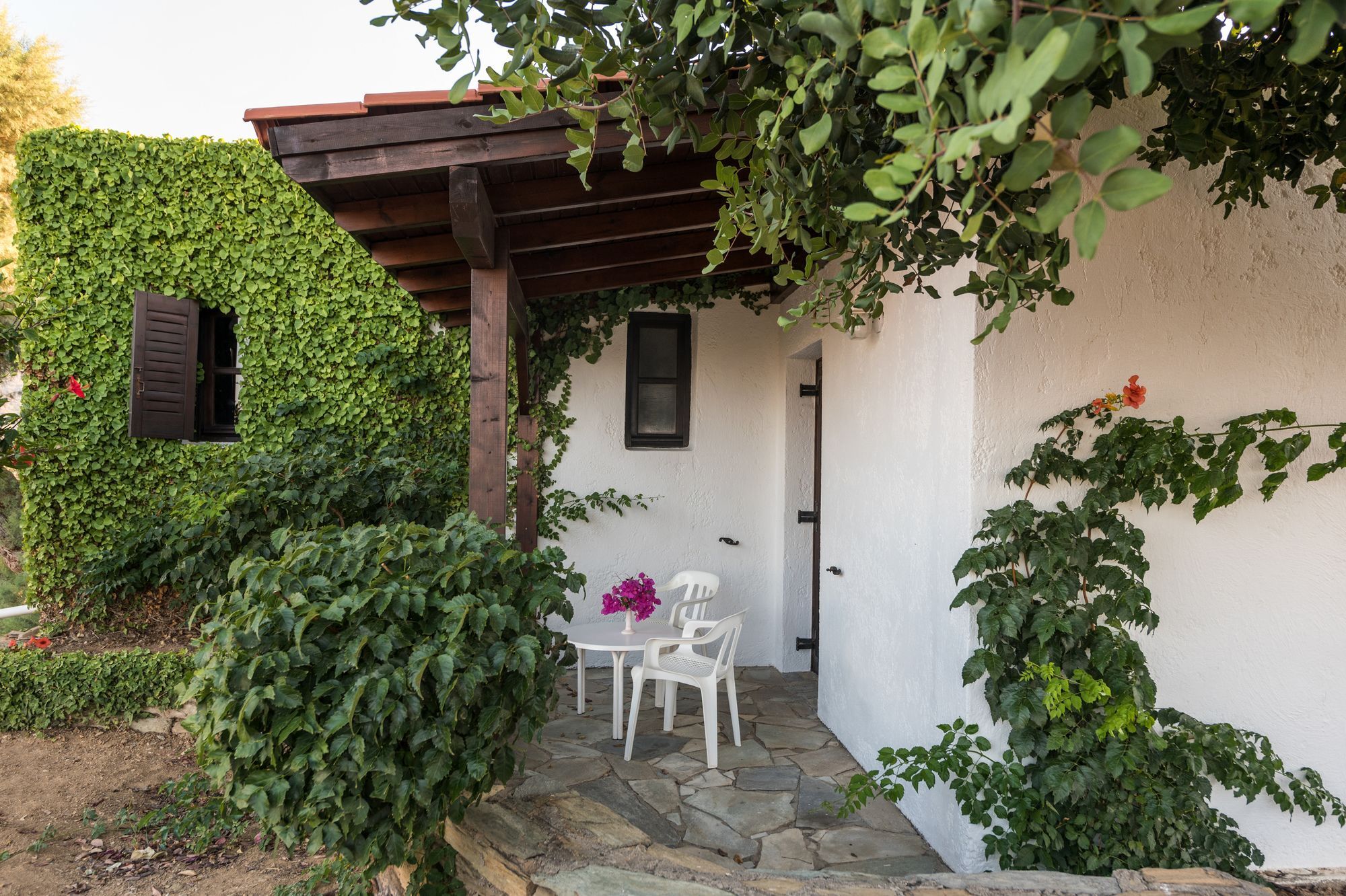 Ambelos Agia Pelagia (Crete)