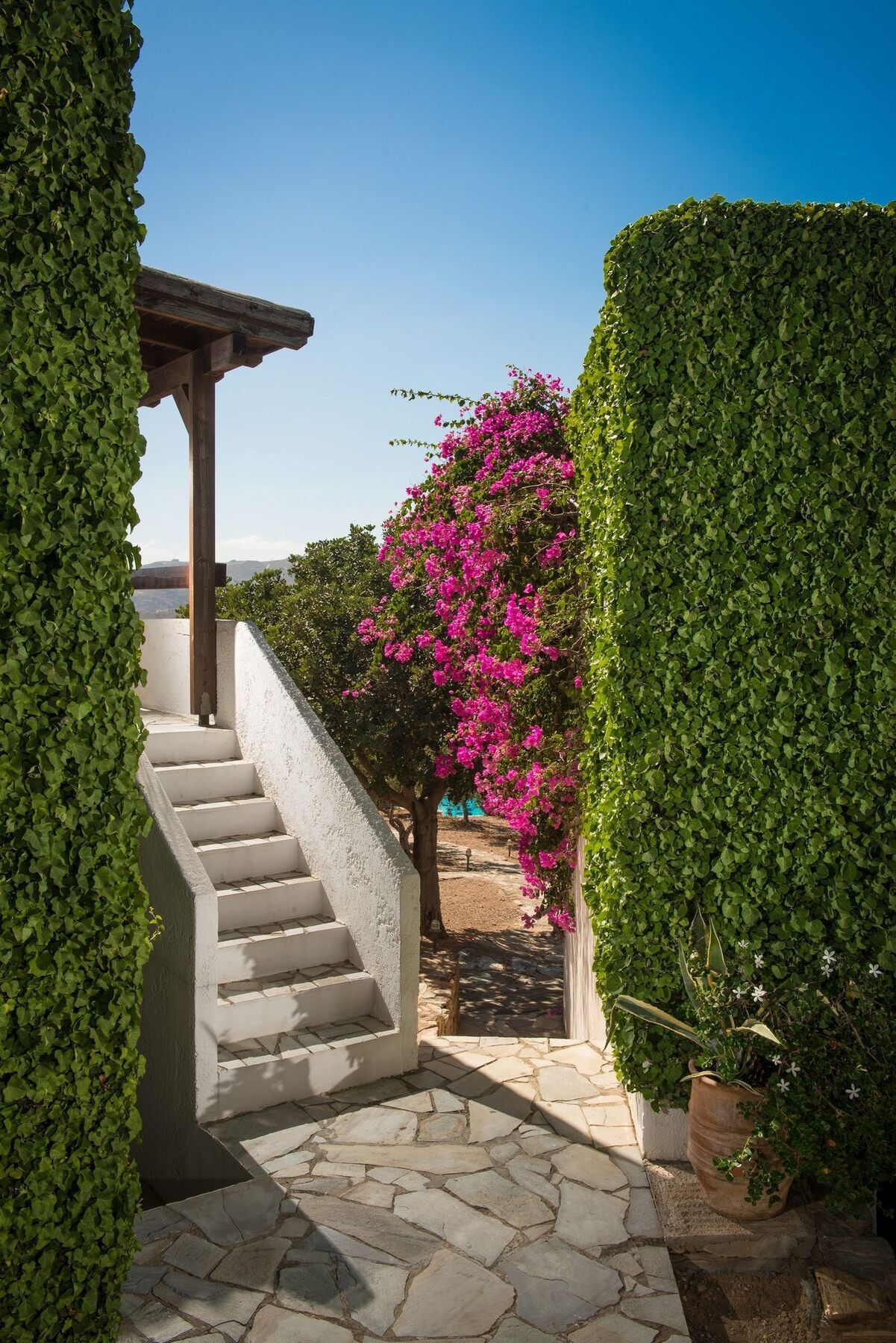 Ambelos 3* Agia Pelagia (Crete)