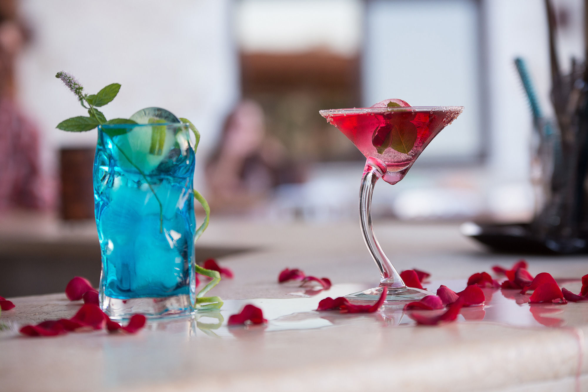 Cactus Royal & Adults Only Stalida