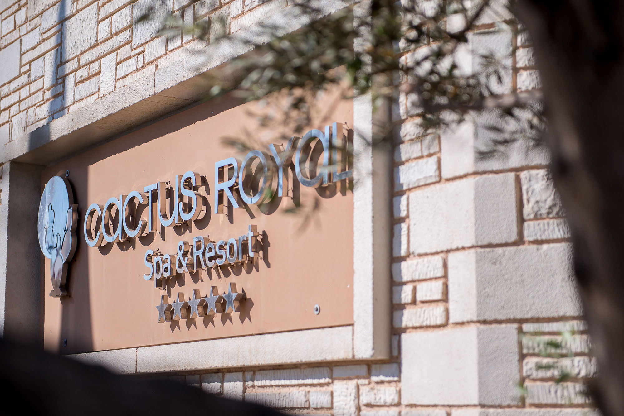 Cactus Royal & Adults Only Stalida