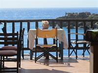 Oasis Hotel 2*