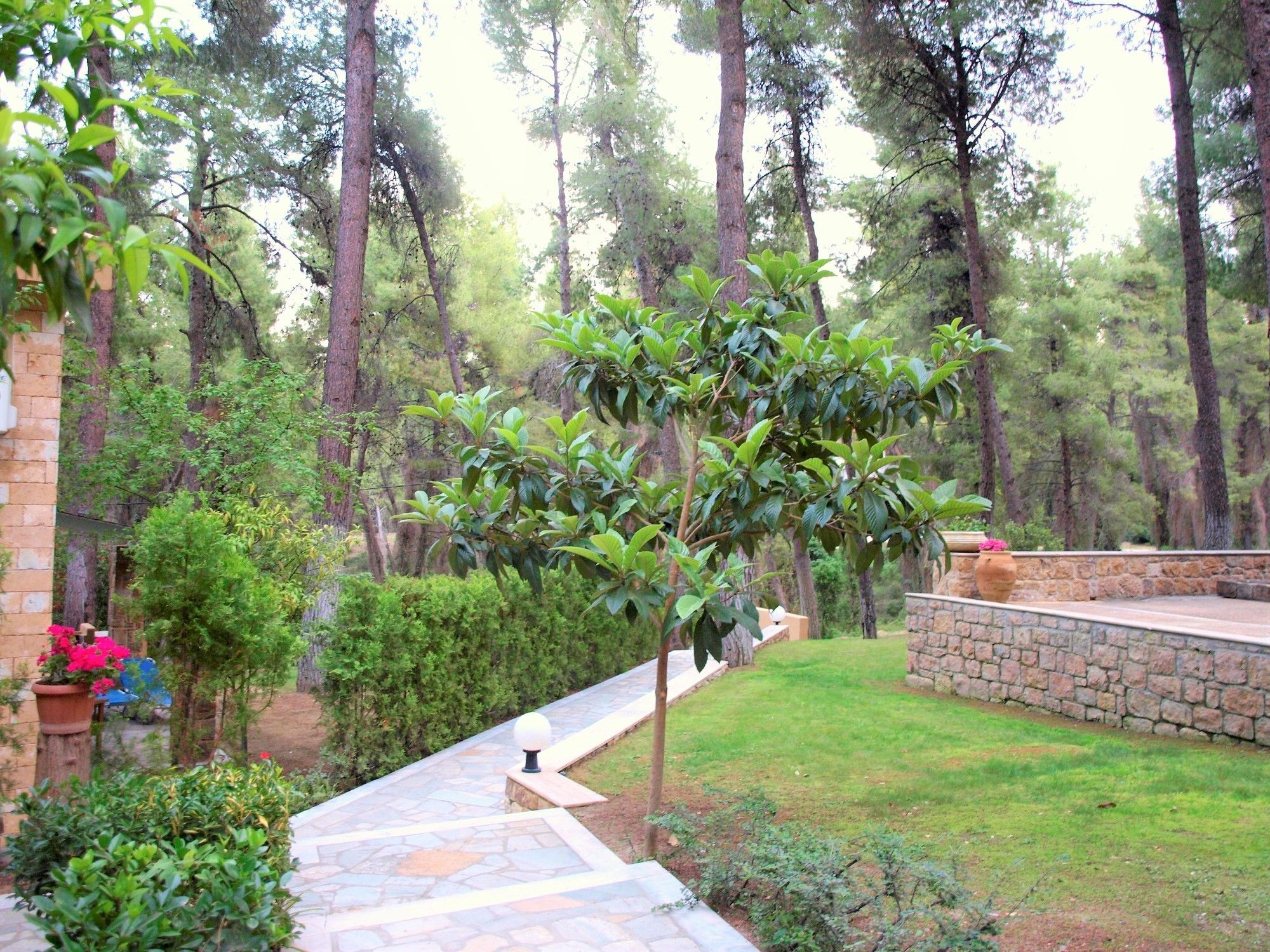 Villa Sani Cape - Stamatiadis Sani (Chalkidiki)
