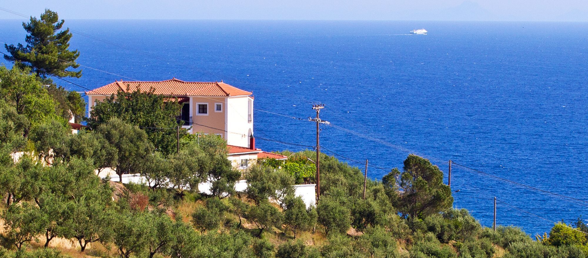 Contessa Vasilikos (Zakynthos)