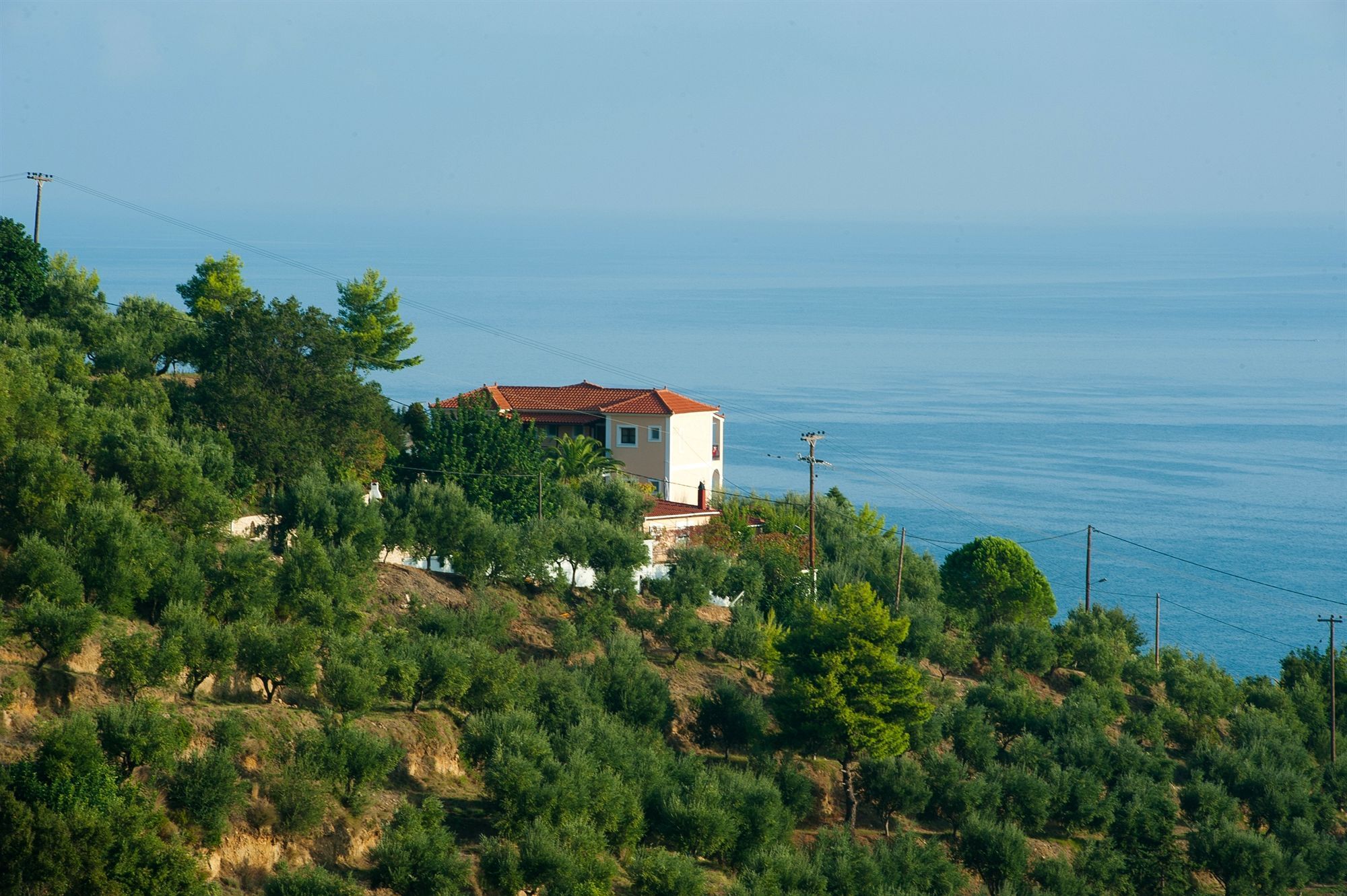 Contessa Vasilikos (Zakynthos)