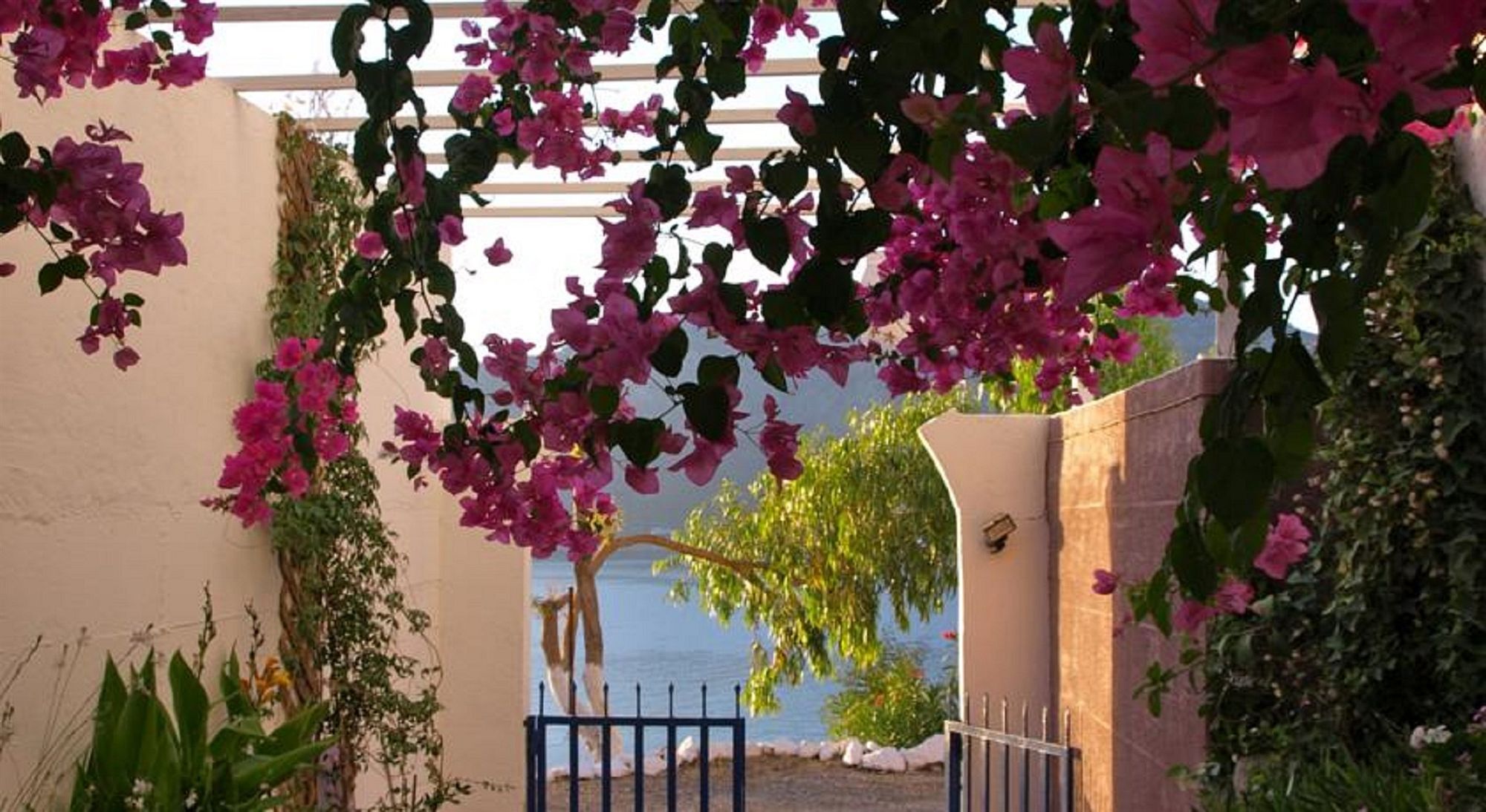 Apartment Michalis Tilos