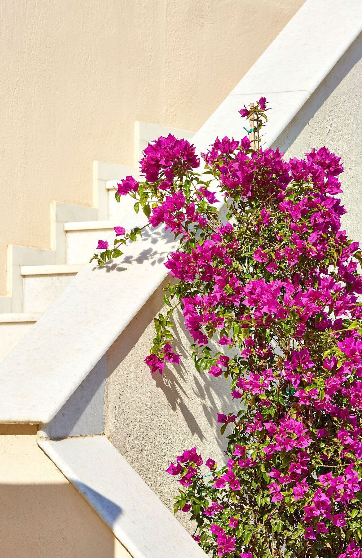 Le Blanc Holiday home *