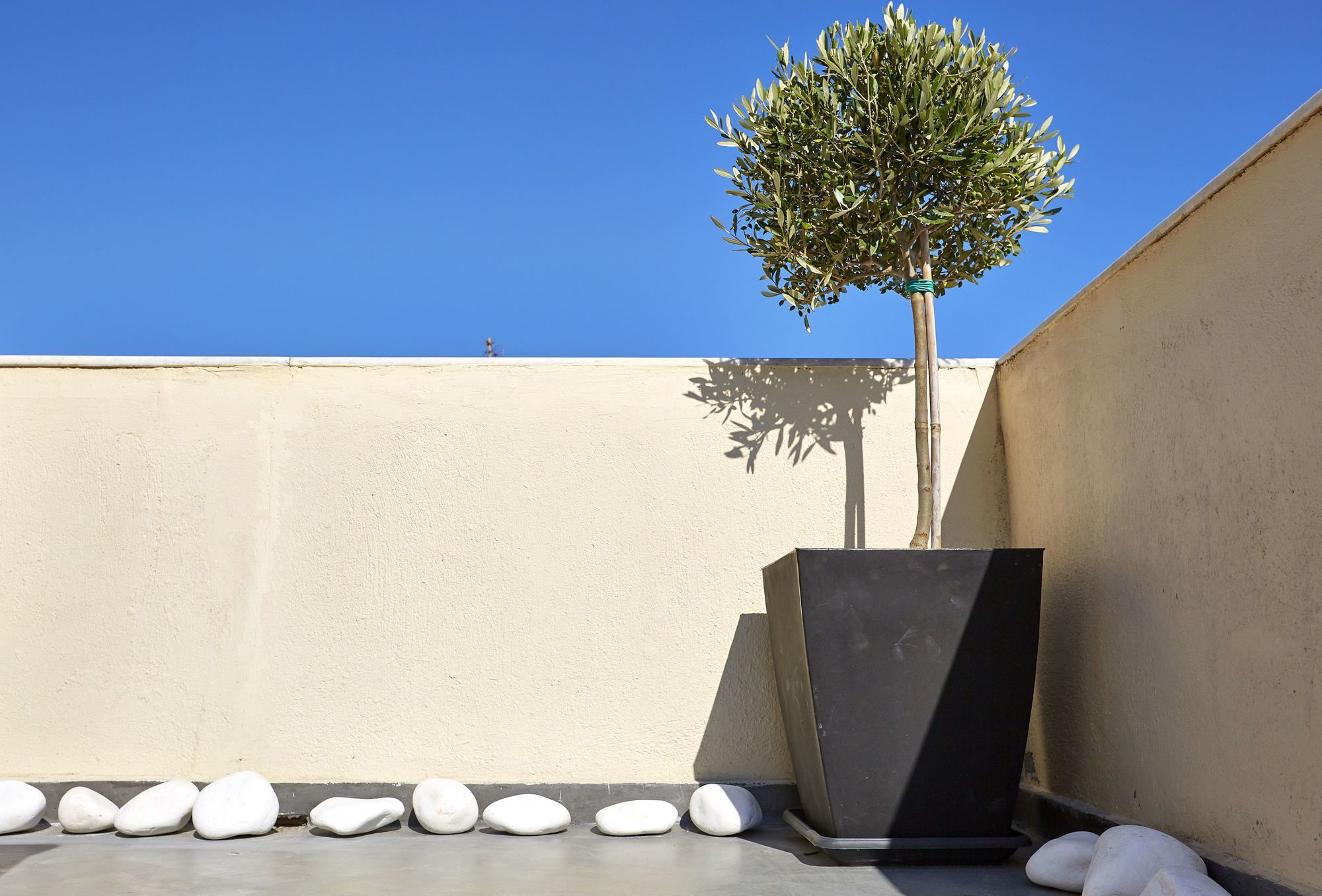 Le Blanc * Messaria (Santorini)