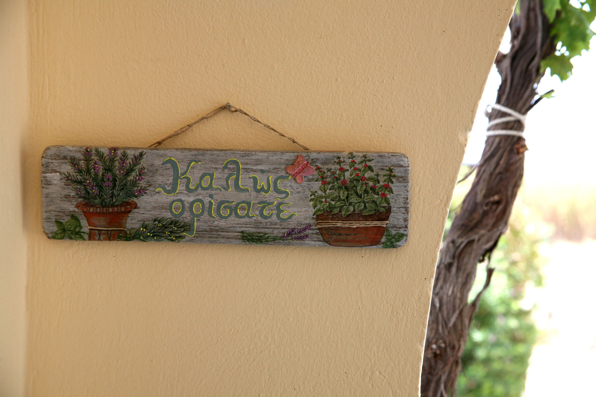 Aeolos Sustainable Living Apartment