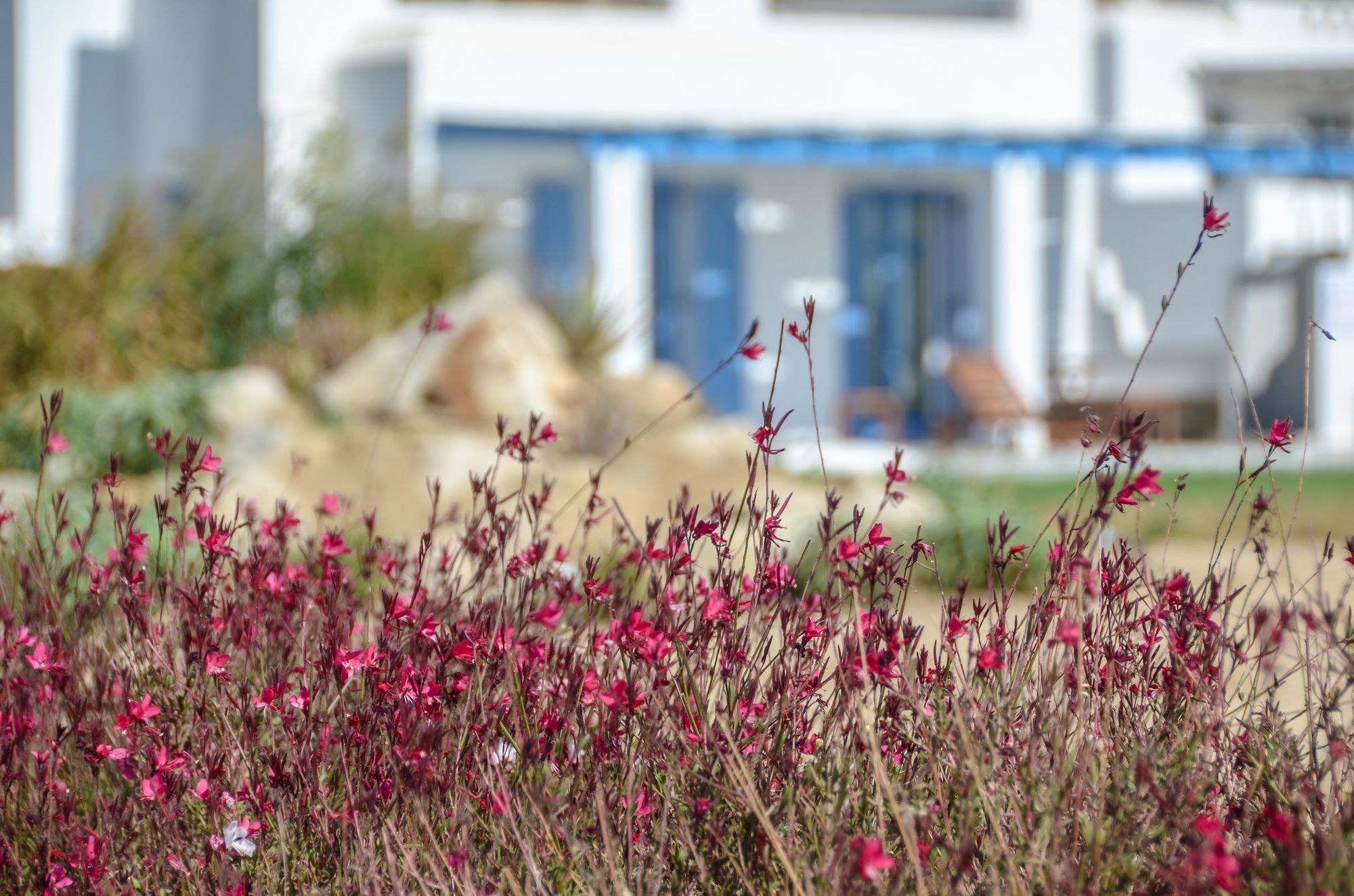 Villa Natura In Naxos
