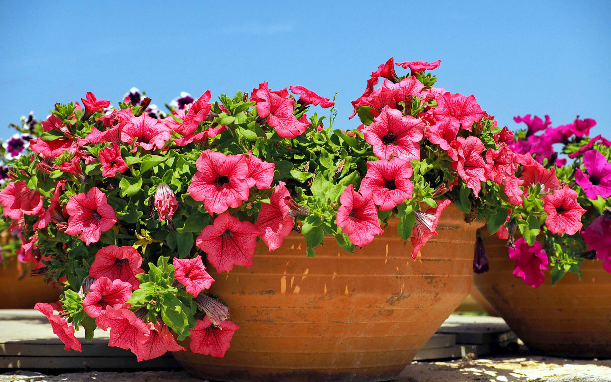 To Armiro Boutique Holiday home Plaka (Naxos)
