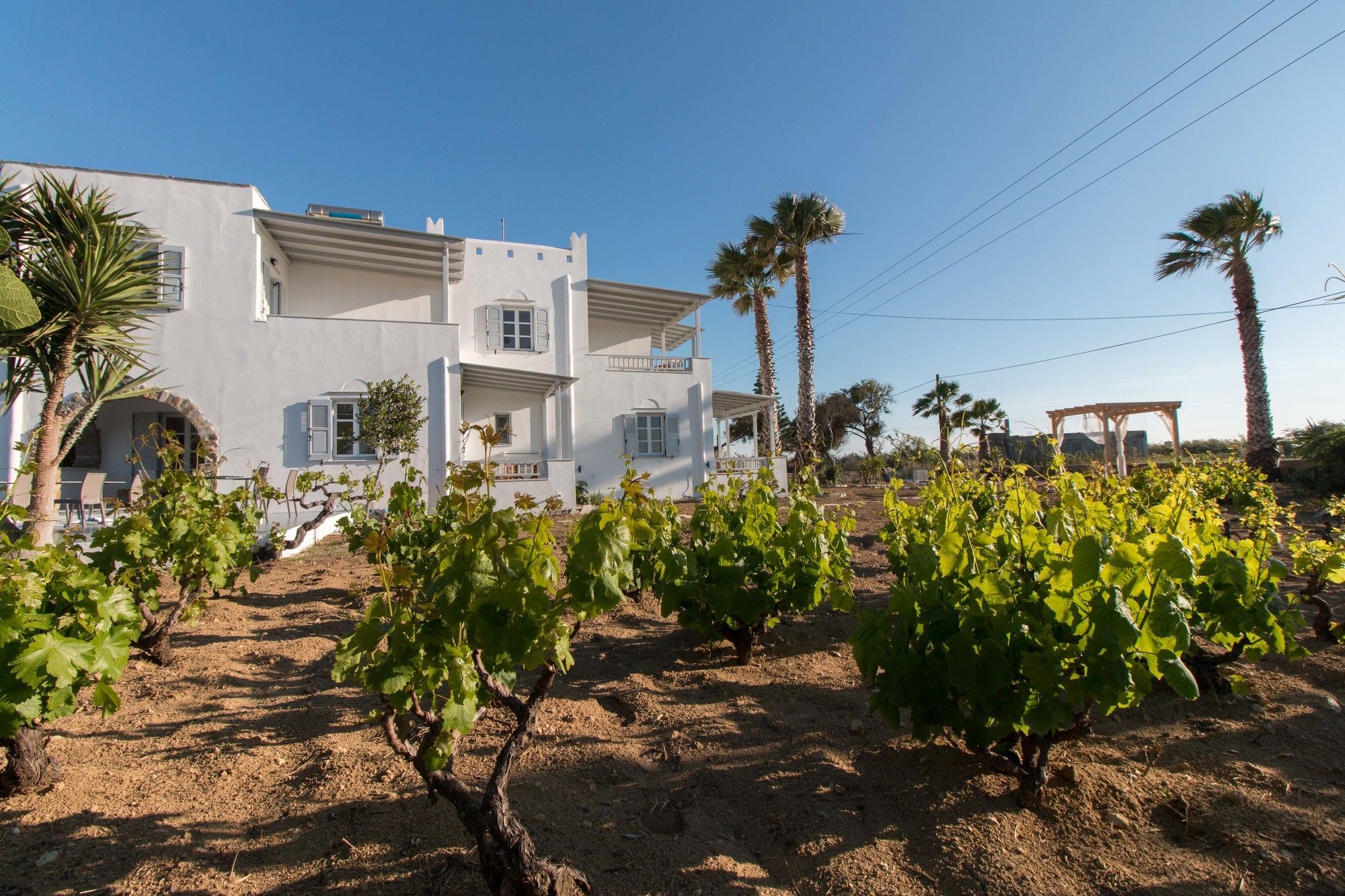 Ktima Bianco